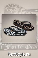 Giani Forte -  - 2010
,     