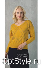 Passioni (   7667 (PULLOVER)) -  - 2020
,     