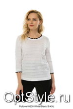 Passioni (   8530 (PULLOVER)) -  - 2020
,     