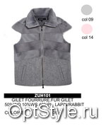 Ananke (Fuego) (    ZUH 101 (GILET)) -  - 2021
,     