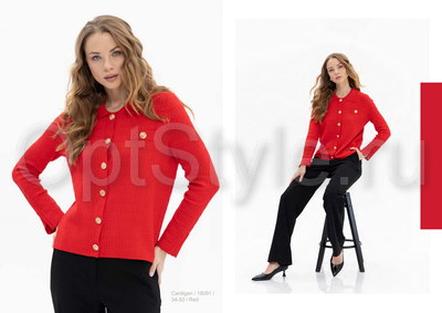 Passioni -  - 2025
,   
    